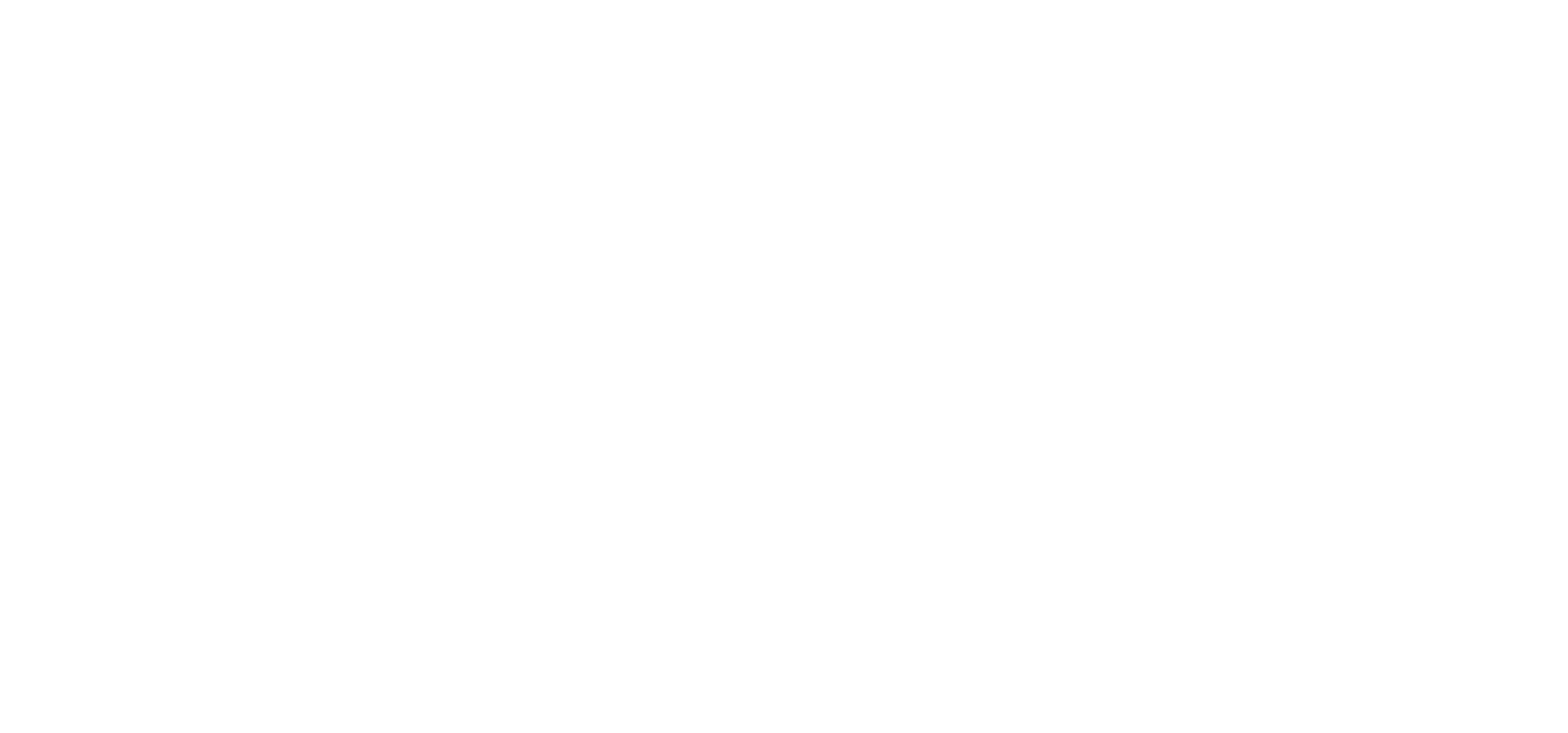 Neuronic - Desarrollo de software e inteligencia artificial empresarial